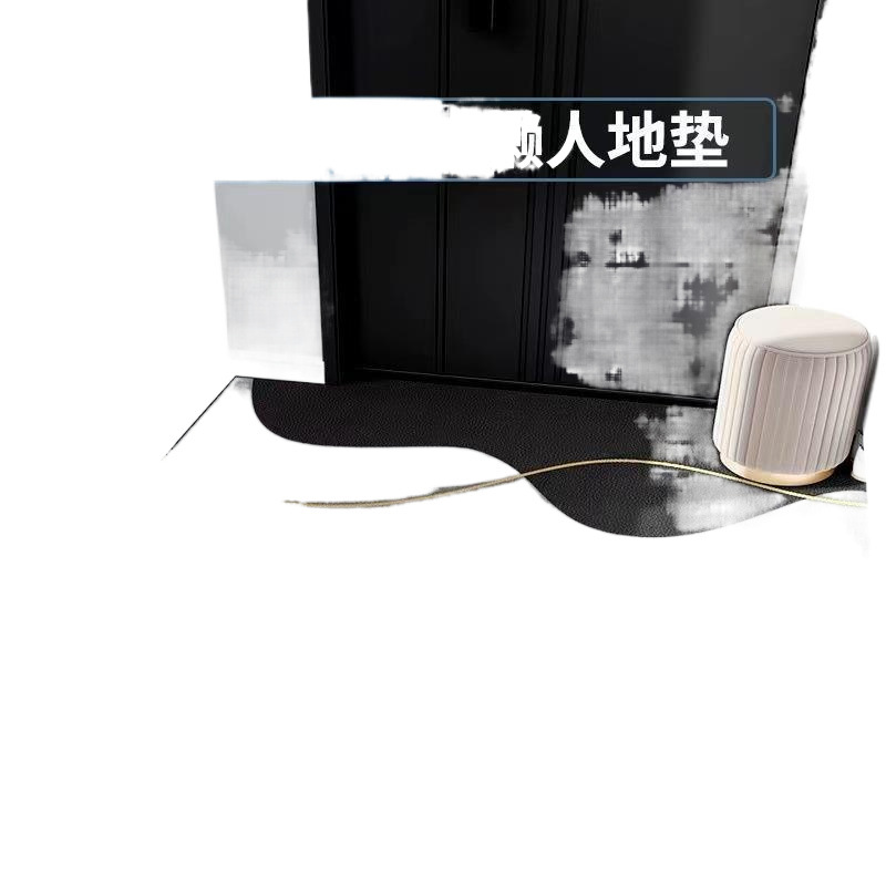 2026地垫入户门垫进门门口脚垫厨房免洗可擦家用玄关防滑垫子地毯 - 图3
