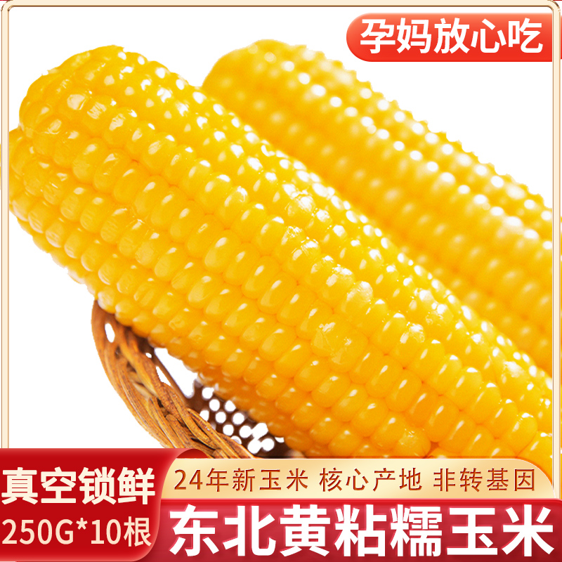玉米新鲜糯玉米东北黄糯玉米真空包装甜黏大棒苞米即食低脂粘颗