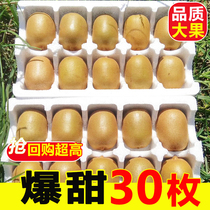 Sichuan Phujiang Yellow Heart Exotic Fruits Fresh Fruits When Season Full Box 10 Pregnant Womens Macaque Peach Should Be Hezic Fruits