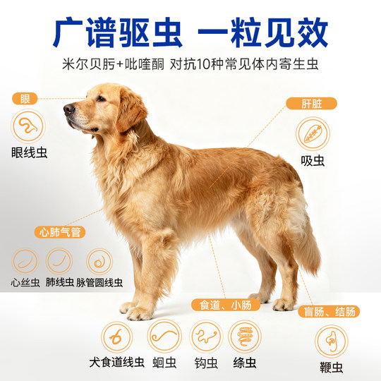 海乐旺狗狗驱虫药体内外一体同驱小狗孕幼宠物犬打虫药1粒单月装