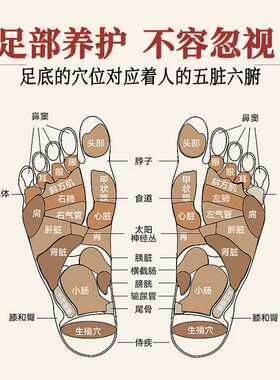 元气茯苓八珍足贴睡眠驱寒艾草