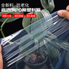 Imported anti-fog PO film thickened greenhouse plastic film anti-aging agricultural drip-free film transparent plastic cloth insulation film