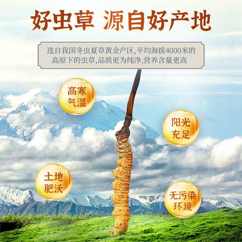 弼康牌官方旗舰店正品冬虫夏草口服液虫草菌丝体养元液营养口服液
