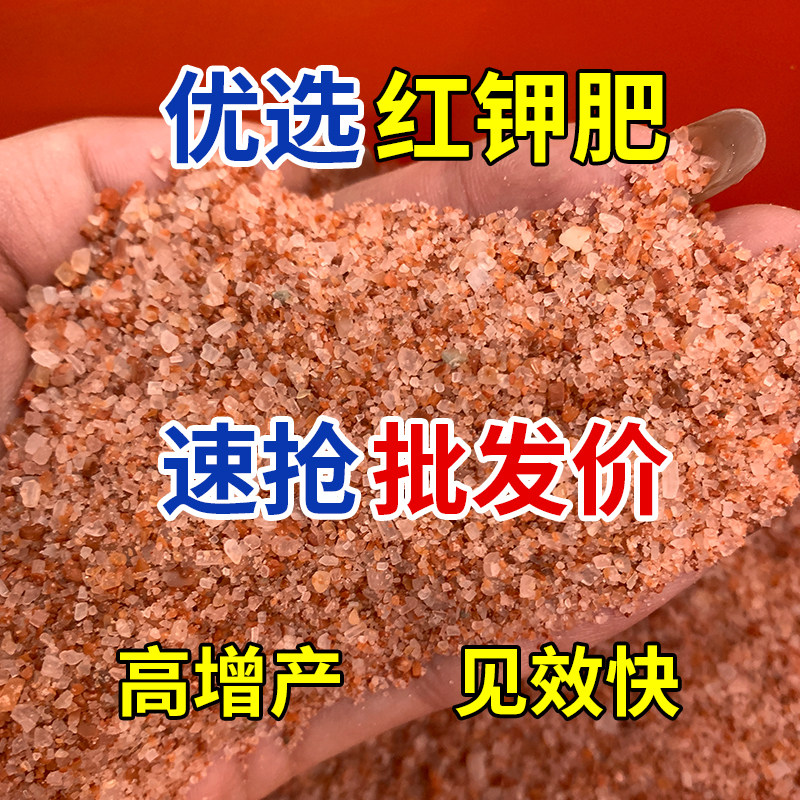 进口红氯化钾促花促果通用肥料红钾肥农用高钾颗粒速溶花卉果蔬肥,淘宝优惠券,粉丝福利购,淘宝优惠卷