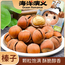 Ocean acting hazelnut nuts with open bags ready-to-eat dried fruits casual snacks Old and less yicory nuts