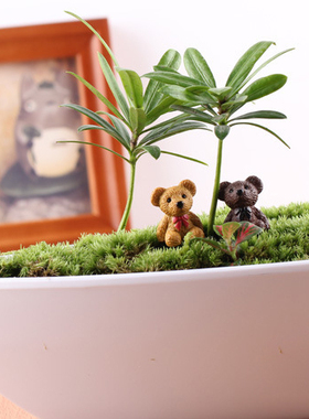 微景观饰品可爱小熊公仔组合 DIY组装玩具摆件 创意手工diy装饰