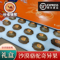 Champs Desert Camel Chic Exotic Fruit Gift Box Shaanxi Week To Xu Fragrant Green Heart Macaque 16-22 grain Shunfeng