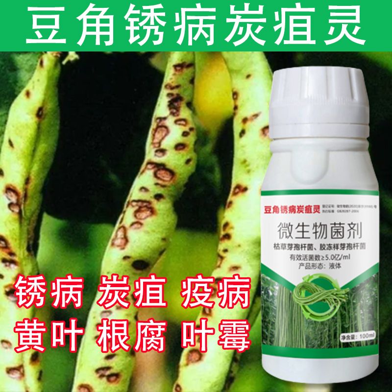 豆角病全治专用锈病黄叶根腐病炭疽杀菌剂白粉病叶斑疫病枯萎根腐 - 图0