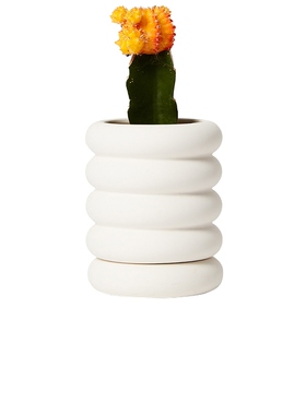 Areaware STACKING PLANTER MINI TALL 花盆 白色REVOLVE小众新款