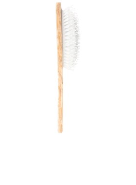 Solar Eclipse Hand-Painted Horse Amazing Hair Day Brush  Mu