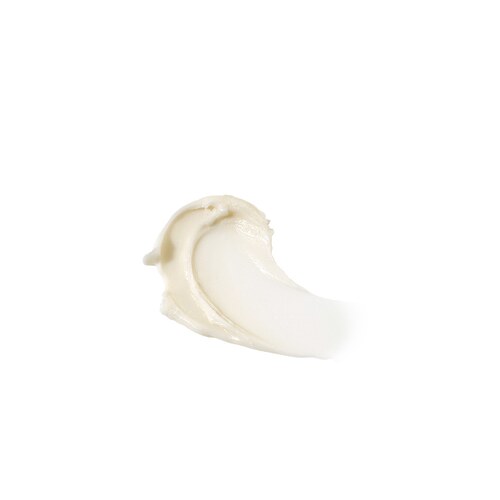 FEMMUE IDEAL CAMELLIA COCOON BALM 润泽霜 REVOLVE小 - 图2
