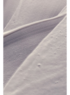 Aesop ELEOS NOURISHING BODY CLEANSER 沐浴液REVOLVE