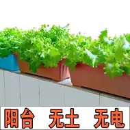 水耕栽培营养液 新人首单立减十元 21年8月 淘宝海外