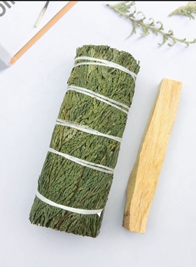 正品白鼠尾草蓝鼠尾草圣木组合