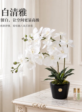 北欧轻奢仿真蝴蝶兰客厅香薰盆栽