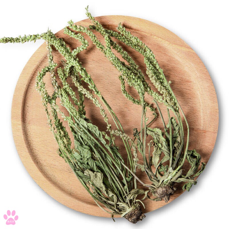 车前草野生中药材的功效与作用车钱草瓜蒌胎菊花木通干货袋泡茶水