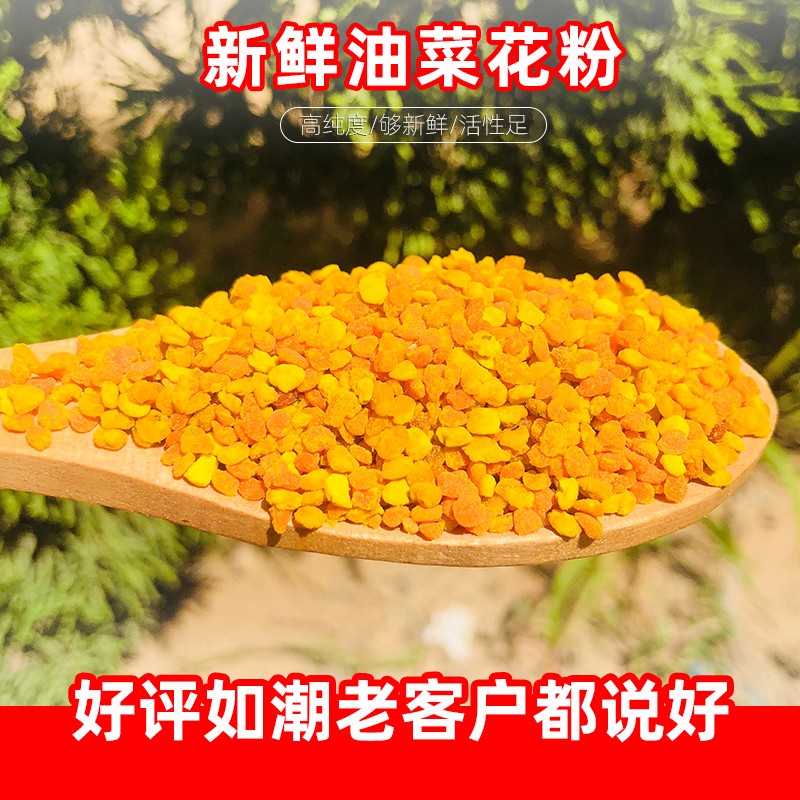 油菜花粉喂蜂养蜂中蜂专用蜂粮蜜蜂饲料花粉浆脱脂豆粉油菜花粉末