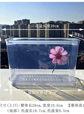 亚克力塑料花盆高透明方形仿玻璃加厚硬质带底孔透气观察根部种植