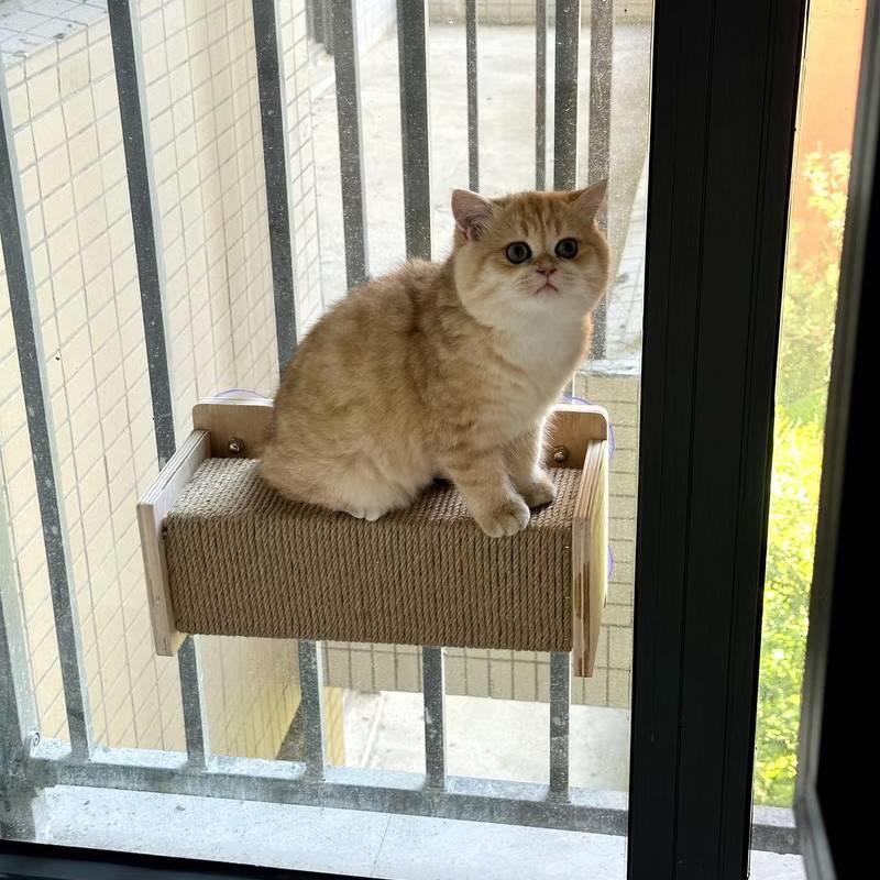 猫咪太空舱跳台吊床猫窝窗户玻璃吸盘爬架猫抓柱免打孔安装晒太阳 - 图1