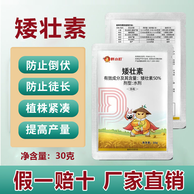 小麦专用控旺矮壮素蔬菜果蔬玉米防止倒伏疯长徒长植物生长调节药 - 图1