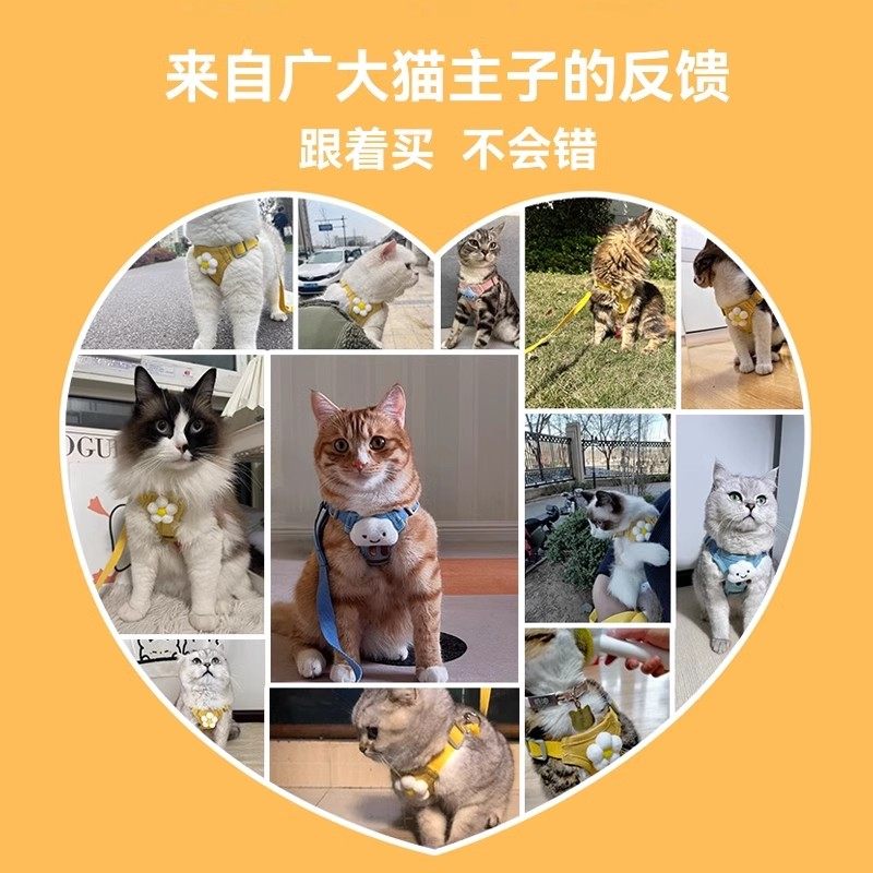 猫咪牵引绳防挣脱外出专用背心式遛猫绳子胸背带可调节宠物溜猫绳,淘宝优惠券,粉丝福利购,淘宝优惠卷