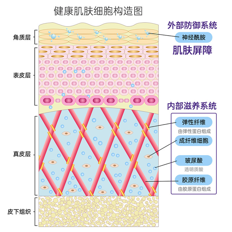 日本进口森永胶原蛋白肽胶原蛋白 森永食品海外胶原蛋白