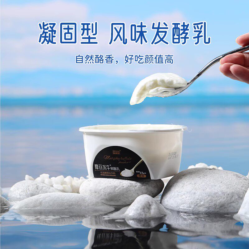 来思尔摩菲水牛鲜酪乳125g*8盒生牛乳风味发酵乳营养早餐酸牛奶