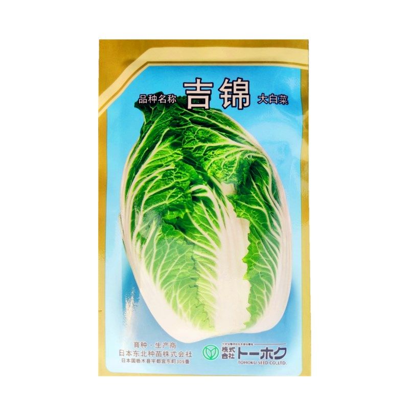 进口黄心大白菜种籽吉锦菊大白菜种子10g农播王春白菜耐低温抽薹,淘宝优惠券,粉丝福利购,淘宝优惠卷