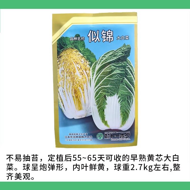 进口黄心大白菜种籽吉锦菊大白菜种子10g农播王春白菜耐低温抽薹,淘宝优惠券,粉丝福利购,淘宝优惠卷