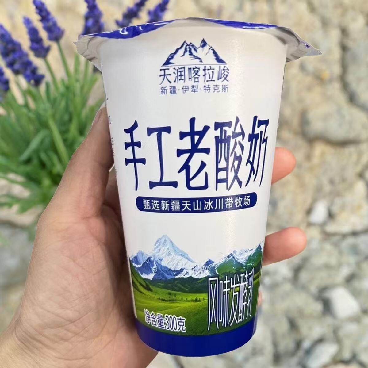 新疆天润喀拉峻手工老酸奶300克杯装风味发酵乳酸奶【顺丰空运】