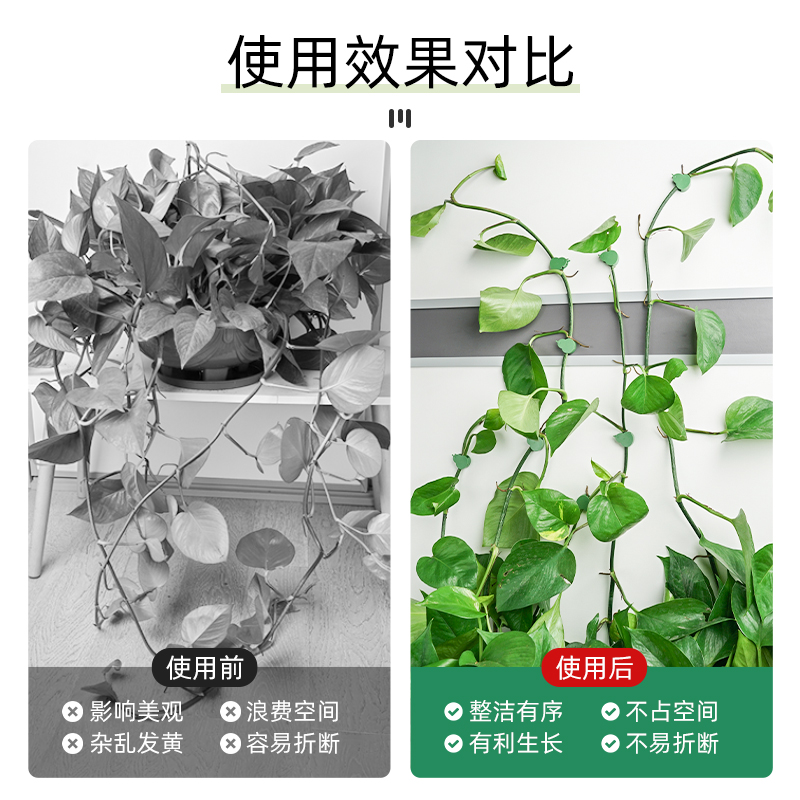 绿箩爬上神器绿萝固定器夹子爬山虎月季蔷薇花绿植物爬墙固定器扣-图1