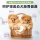 ອາຫານໝາອົບແຫ້ງພິເສດຂອງ Pomeranian