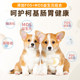 Corgi ພິເສດ 6-packed freeze-dried ເພື່ອເພີ່ມໄຂມັນ, ກົ້ນແລະຜົມ