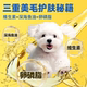 Bichon Frize ຫົກຕ່ອນທີ່ແຊ່ແຂງສໍາລັບຫມາຂະຫນາດນ້ອຍທີ່ມີຮອຍເປື້ອນເລັກນ້ອຍ