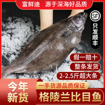 Greenland Biome Fish Fresh Whole Frozen Opium Fish Deep-sea Live Flounder Seafood Fish Seafood Fish