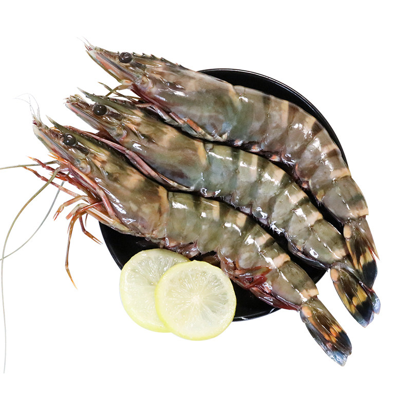 Black tiger shrimp, extra large monodon tiger shrimp, fresh and quick-frozen