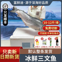 One whole strip of chilled Norwegian salmon 10-12 catfish fresh raw fish fillet sashimi Salmon Ready-to-eat Seafood