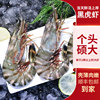 Black tiger shrimp, extra large monodon tiger shrimp, fresh and quick-frozen