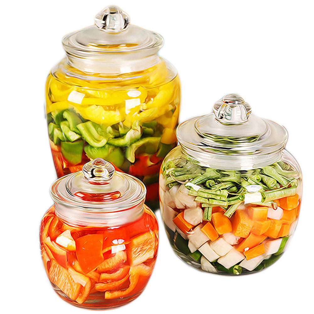 泡菜坛子密封罐玻璃瓶食品级空瓶子带盖小号罐子储物腌菜家用糖罐