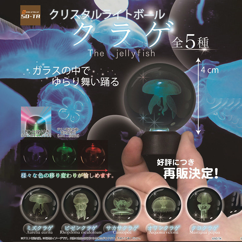 扭蛋夜 新人首单立减十元 22年9月 淘宝海外