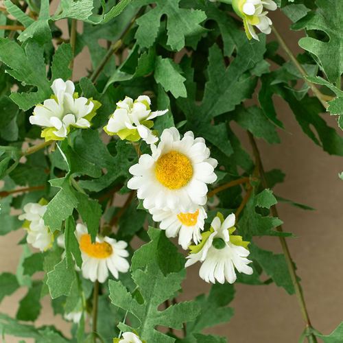 ins风仿真植物墙面装饰小雏菊假花室内墙壁假花藤蔓电视背景遮丑 - 图1