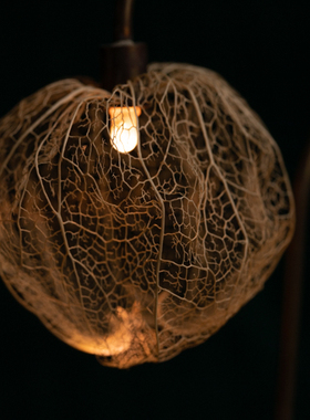 元气造物～潮流艺术 lantern plant 森之灯（西别府久幸）N25B012