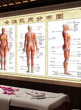 穴位图养生馆装饰画12经络图油画