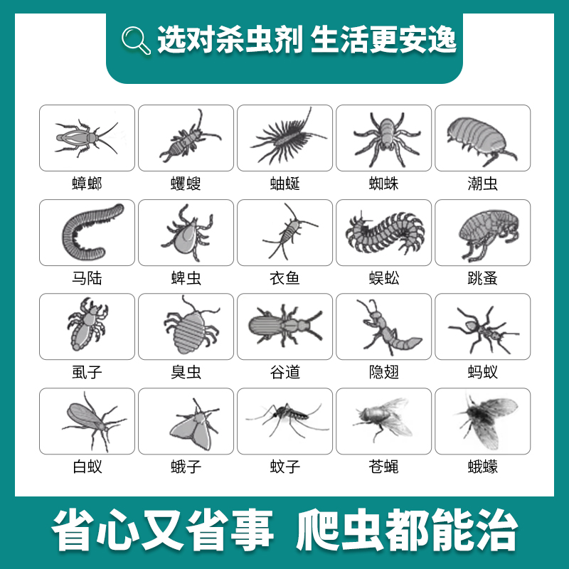 彼嘉3号喷剂B型A型杀虫剂家用非无毒灭蟑螂跳蚤蚂蚁潮虫巧洋gz65 - 图1