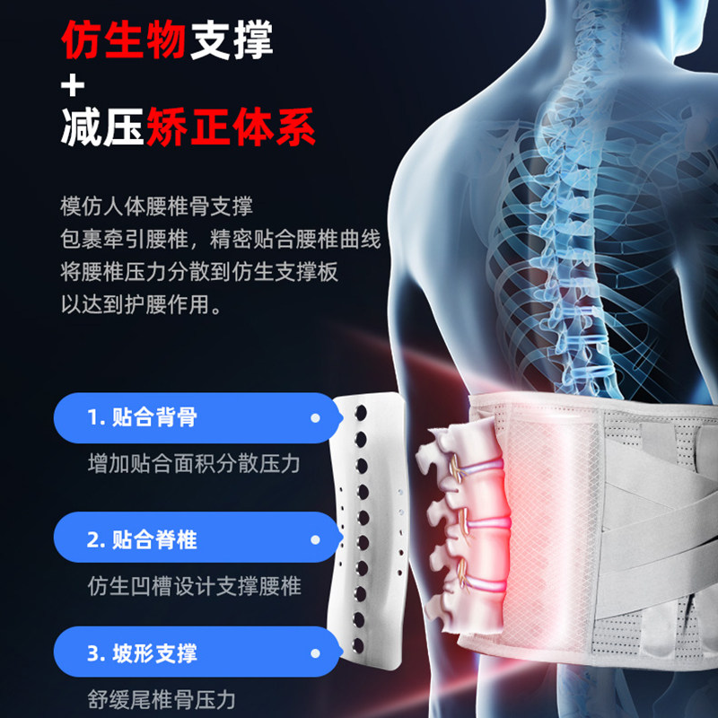 仁和腰围子医用腰椎腰托疼护腰带 仁和薇亚护具（器械）