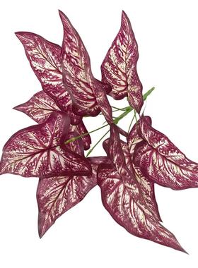 仿真绿植仙芋盆栽插花墙面装饰叶子婚庆背景花墙家居摆件马蹄