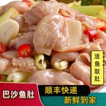 6 catty fish belly fish belly pascha fish belly fresh frozen crisp fish belly fish stomach hot pot ingredients fish