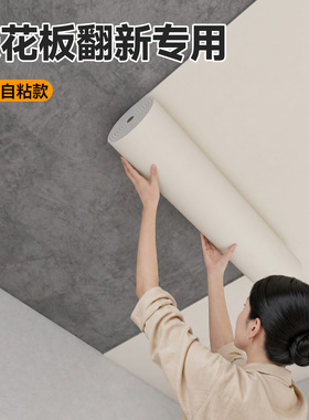 【旧房顶轻松焕新】自粘防水墙贴