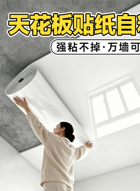 【2026新款】天花板吊顶自粘贴纸