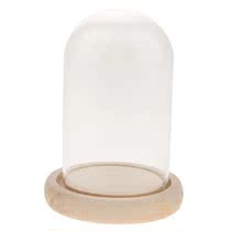 Wooden Glass Dome with Wooden Base Cloche Glass Cover